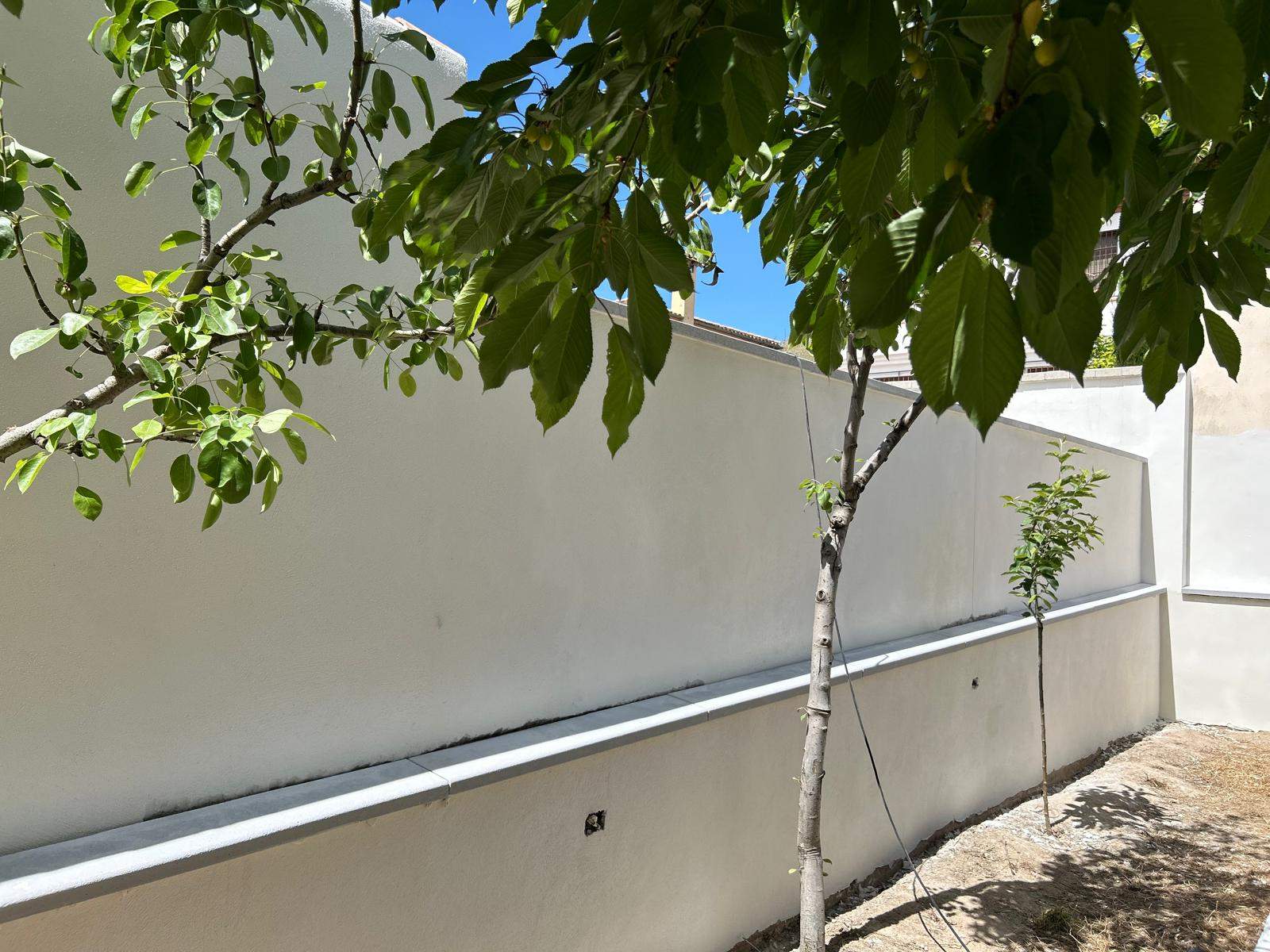 Después: Renovación de Muro Perimetral